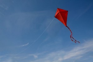 red kite